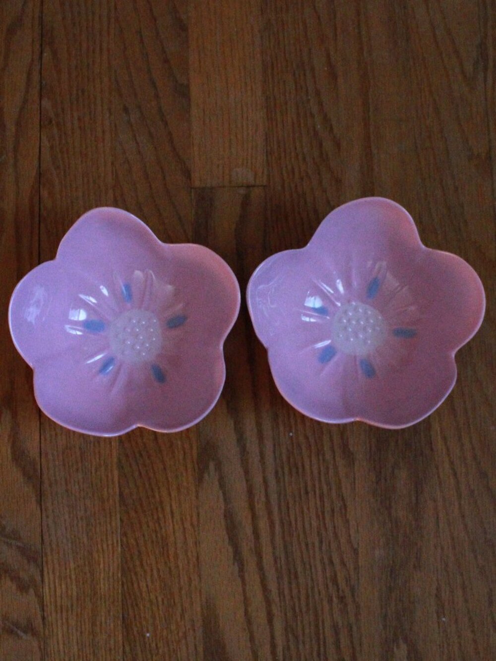 Pair of Spritz Flower Themed Plastic Bowls